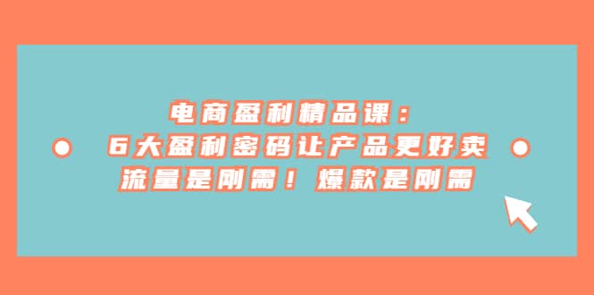 电商 盈利精品课：6大盈利 密码让产品更好卖，流量是刚需！爆款是刚需-天天资源网