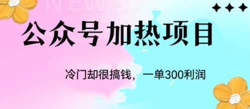 冷门公众号加热项目，一单利润300-天天资源网