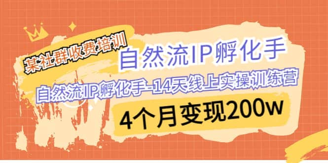 某社群收费培训：自然流IP 孵化手-14天线上实操训练营 4个月变现200w-天天资源网