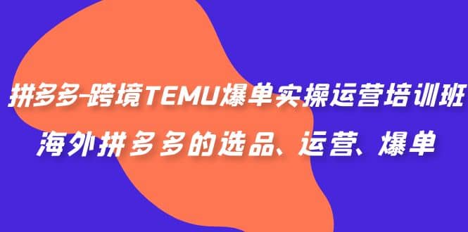 拼多多-跨境TEMU爆单实操运营培训班，海外拼多多的选品、运营、爆单-天天资源网