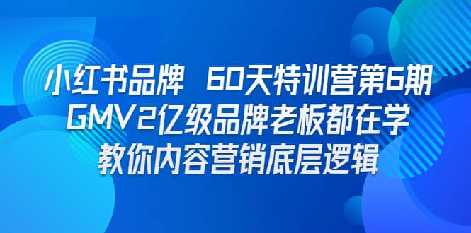 小红书品牌 60天特训营第6期 GMV2亿级品牌老板都在学 教你内容营销底层逻辑-天天资源网