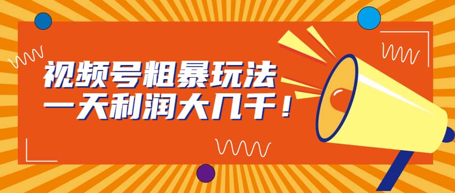 视频号粗暴玩法，一天利润大几千-天天资源网
