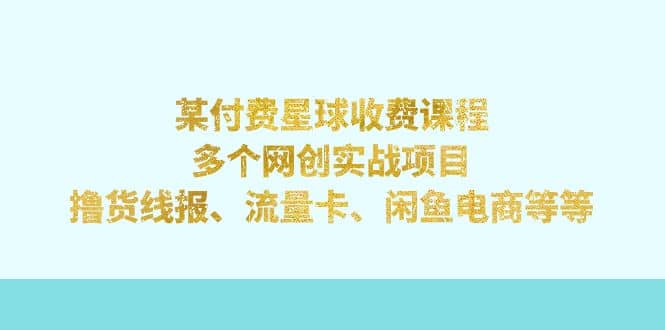 某付费星球课程：多个网创实战项目，撸货线报、流量卡、闲鱼电商等等-天天资源网