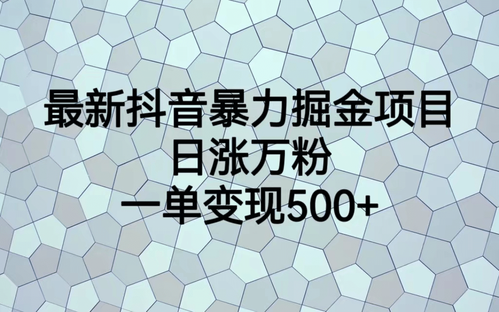 最火热的抖音暴力掘金项目，日涨万粉，多种变现方式，一单变现可达500-天天资源网