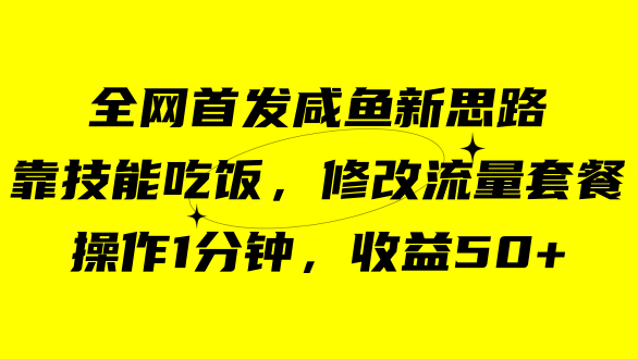 咸鱼冷门新玩法，靠“技能吃饭”，修改流量套餐，操作1分钟，收益50-天天资源网