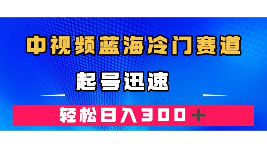 中视频蓝海冷门赛道，韩国视频奇闻解说，起号迅速，日入300＋-天天资源网