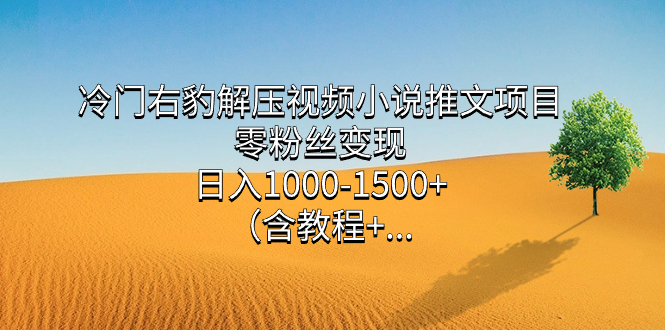 冷门右豹解压视频小说推文项目，零粉丝变现，日入1000-1500 （含教程）-天天资源网