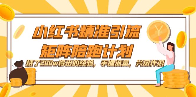 小红书精准引流·矩阵陪跑计划：烧了200w得出的经验，手握流量，兴风作浪！-天天资源网