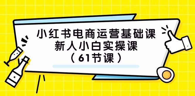 小红书电商运营基础课，新人小白实操课（61节课）-天天资源网