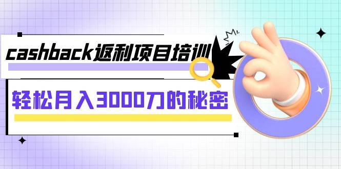 cashback返利项目培训：轻松月入3000刀的秘密（8节课）-天天资源网