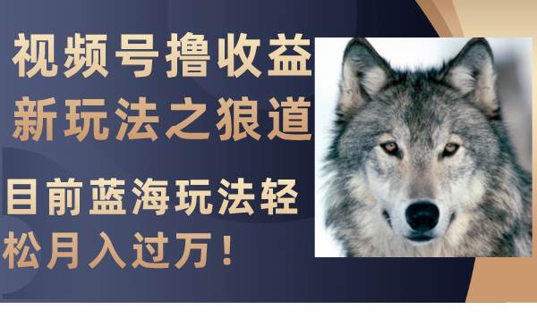 视频号撸收益新玩法之狼道，目前蓝海玩法轻松月入过万！-天天资源网