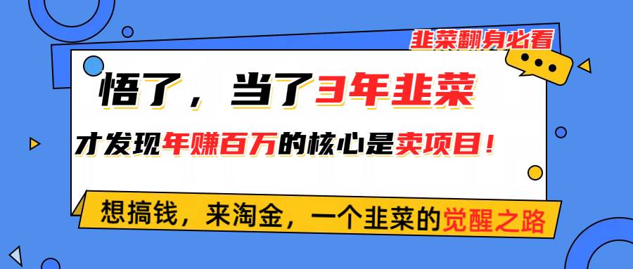 悟了，当了3年韭菜，才发现网赚圈年赚100万的核心是卖项目，含泪分享！-天天资源网