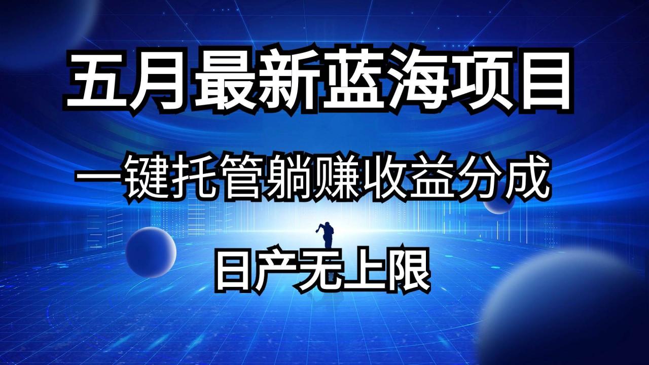 五月刚出最新蓝海项目一键托管 躺赚收益分成 日产无上限-天天资源网