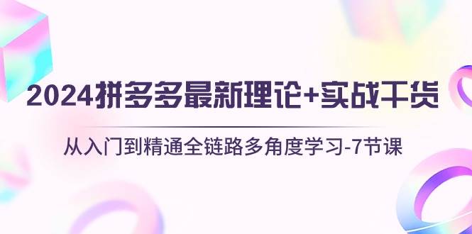2024拼多多 最新理论+实战干货，从入门到精通全链路多角度学习-7节课-天天资源网