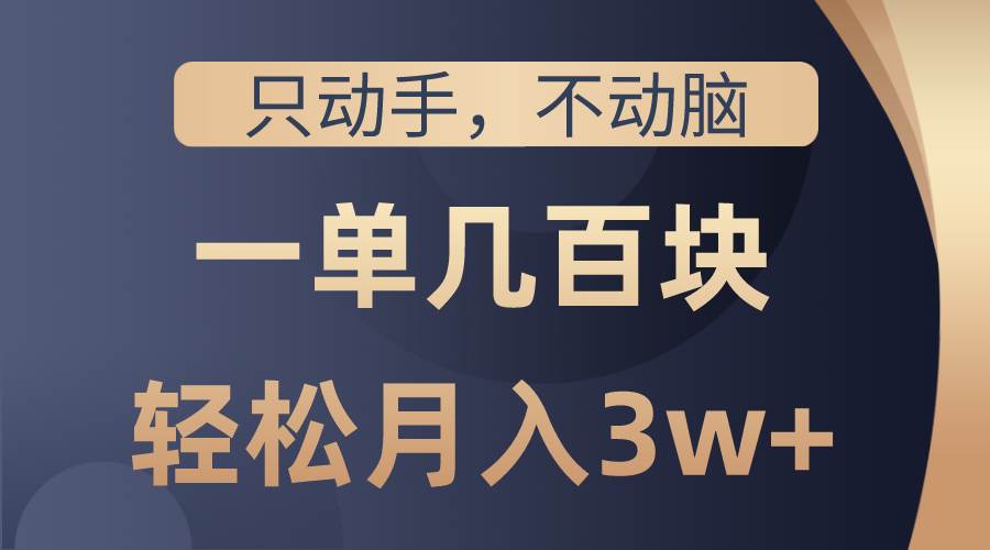 只动手不动脑，一单几百块，轻松月入3w+，看完就能直接操作，详细教程-天天资源网