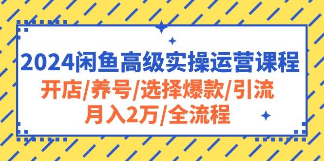 2024闲鱼高级实操运营课程：开店/养号/选择爆款/引流/月入2万/全流程-天天资源网