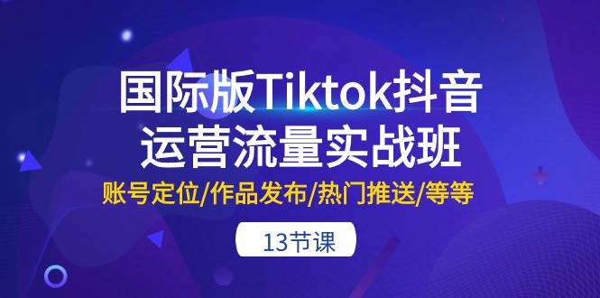 国际版Tiktok抖音运营流量实战班：账号定位/作品发布/热门推送/等等-13节-天天资源网