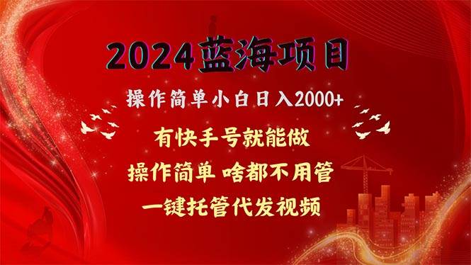 2024蓝海项目，网盘拉新，操作简单小白日入2000+，一键托管代发视频，…-天天资源网