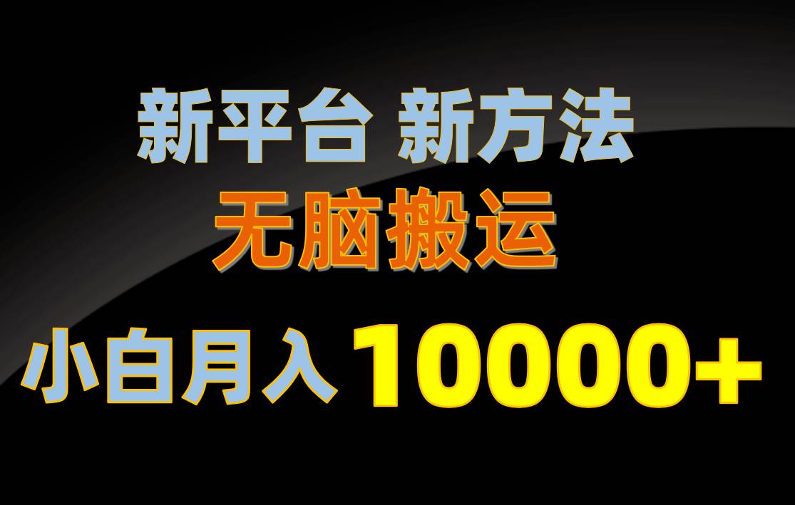 新平台新方法，无脑搬运，月赚10000+，小白轻松上手不动脑-天天资源网
