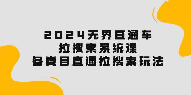 2024无界直通车·拉搜索系统课：各类目直通车 拉搜索玩法！-天天资源网