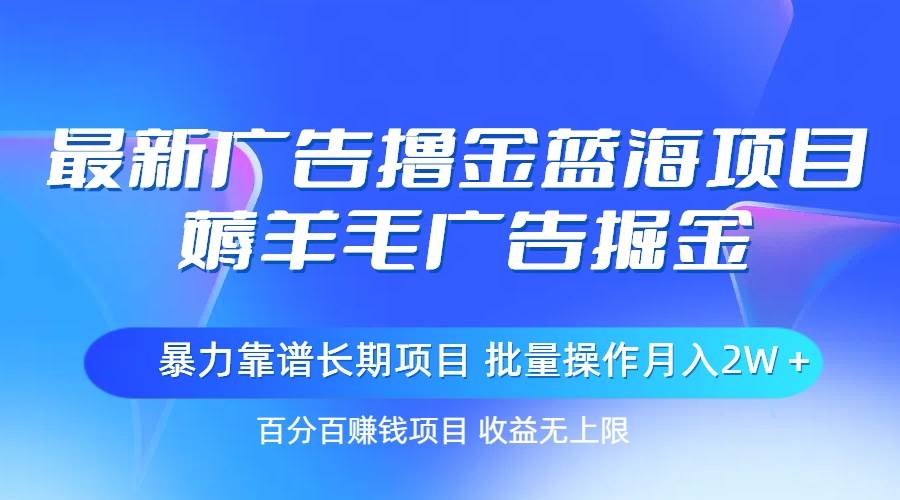 最新广告撸金蓝海项目，薅羊毛广告掘金 长期项目 批量操作月入2W＋-天天资源网