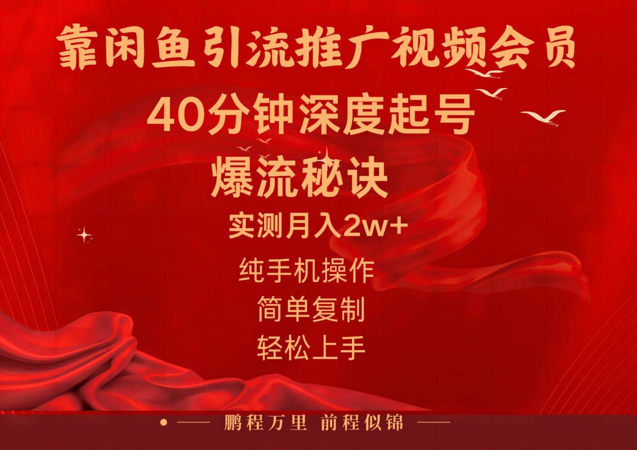 闲鱼暴力引流推广视频会员，能做到日入2W+，操作简单-天天资源网
