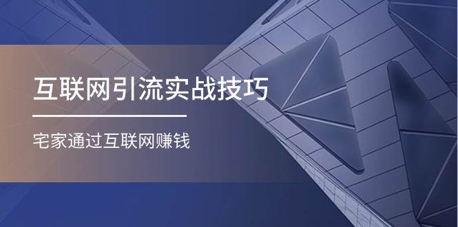 互联网引流实操技巧(适合微商，吸引宝妈)，宅家通过互联网赚钱（17节）-天天资源网