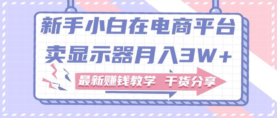 新手小白如何做到在电商平台卖显示器月入3W+，最新赚钱教学干货分享-天天资源网