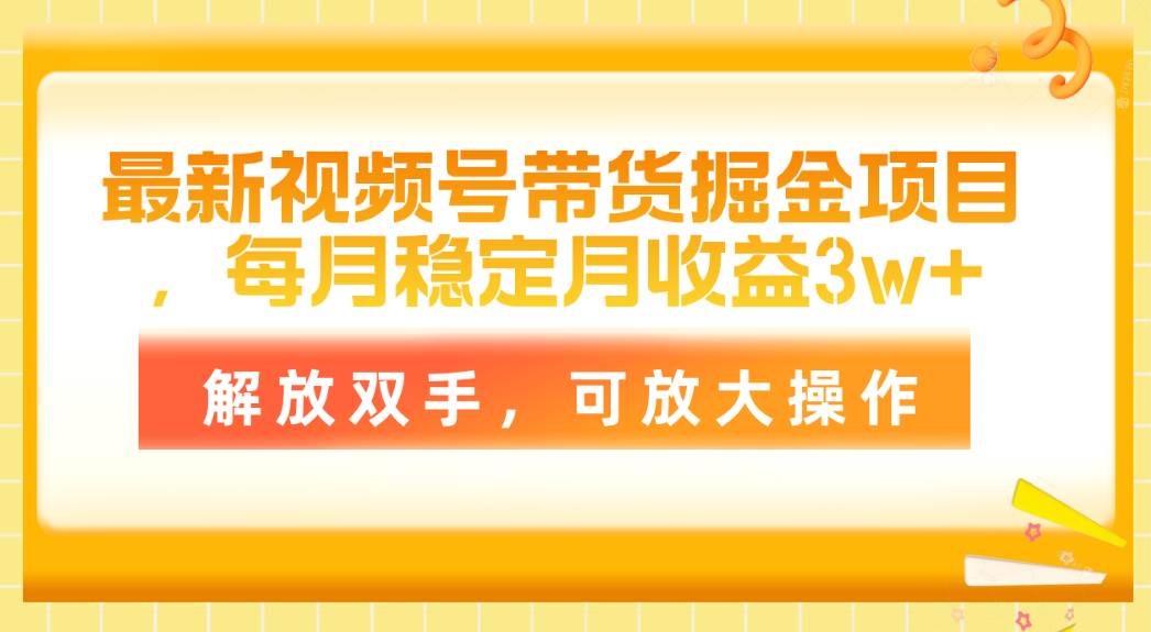 最新视频号带货掘金项目，每月稳定月收益3w+，解放双手，可放大操作-天天资源网