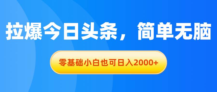 拉爆今日头条，简单无脑，零基础小白也可日入2000+-天天资源网