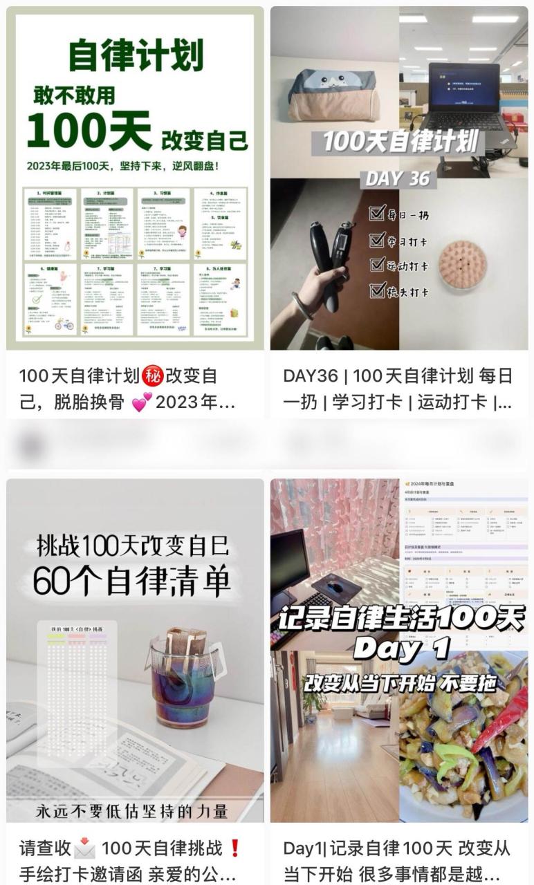简单操作4个月赚9万！小红书打卡日变现1000+！一个被忽视的暴力项目-天天资源网