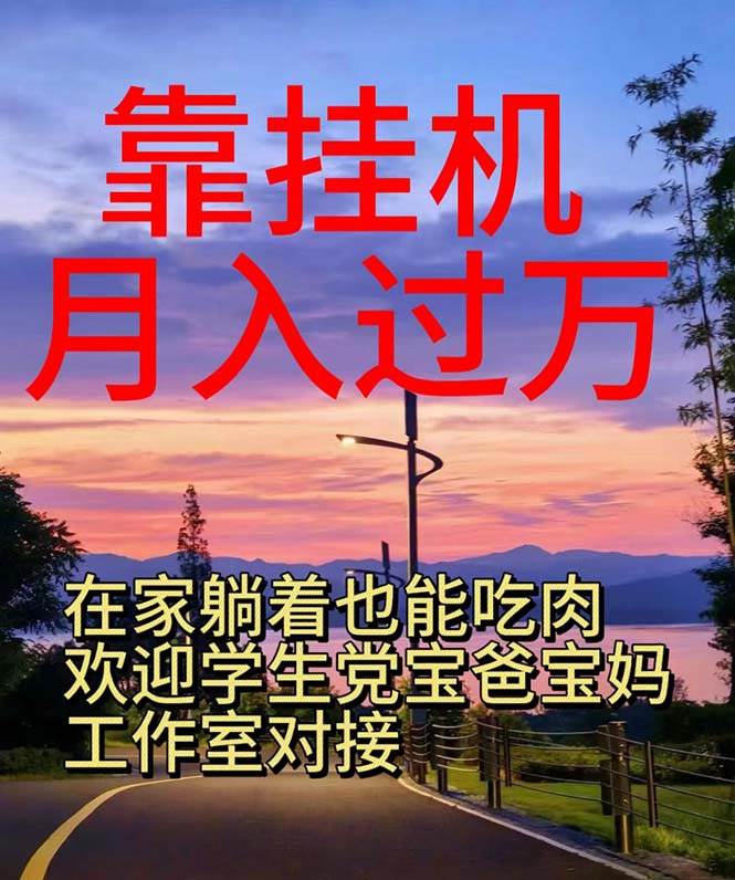 靠挂机，日入1000+，躺着也能吃肉，电脑手机都可挂-天天资源网