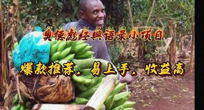 奥德彪经典语录小项目，爆款推荐，易上手，收益高-天天资源网