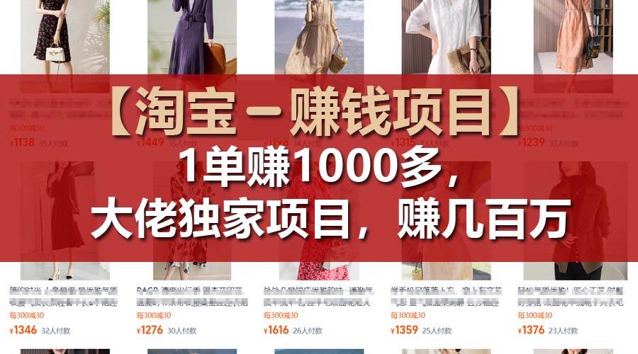 【淘宝赚钱项目】1单可赚1000多，大佬独家项目，年赚几百万-天天资源网