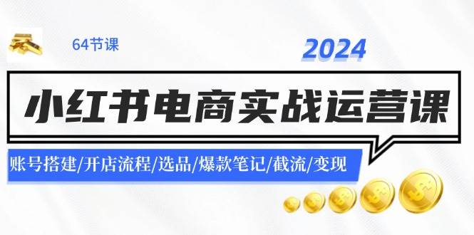2024小红书电商实战运营课：账号搭建/开店流程/选品/爆款笔记/截流/变现-天天资源网