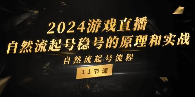 2024游戏直播-自然流起号稳号的原理和实战，自然流起号流程（11节）-天天资源网