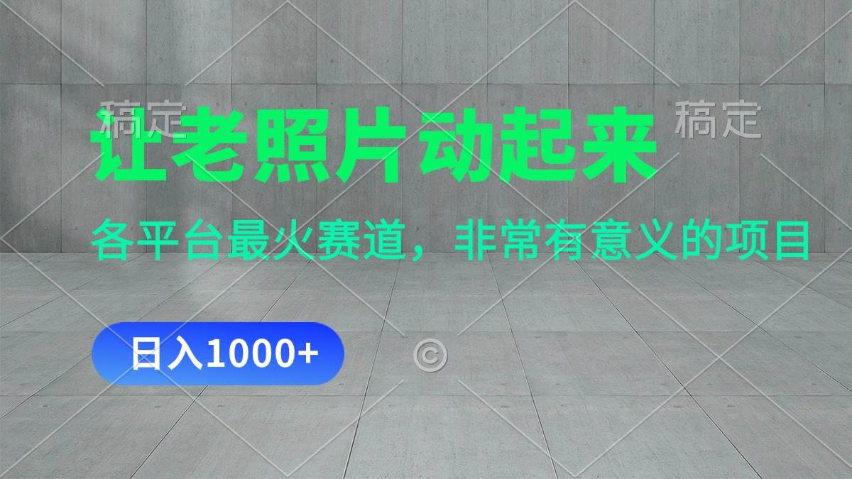 让老照片动起来，一天变现1000+，各平台最火赛道，看完就会-天天资源网