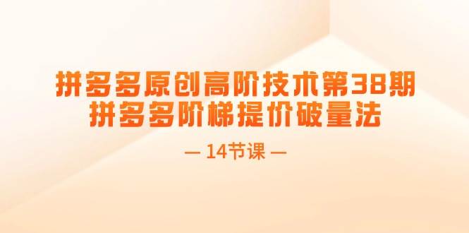 拼多多原创高阶技术第38期，拼多多阶梯提价破量法（14节课）-天天资源网