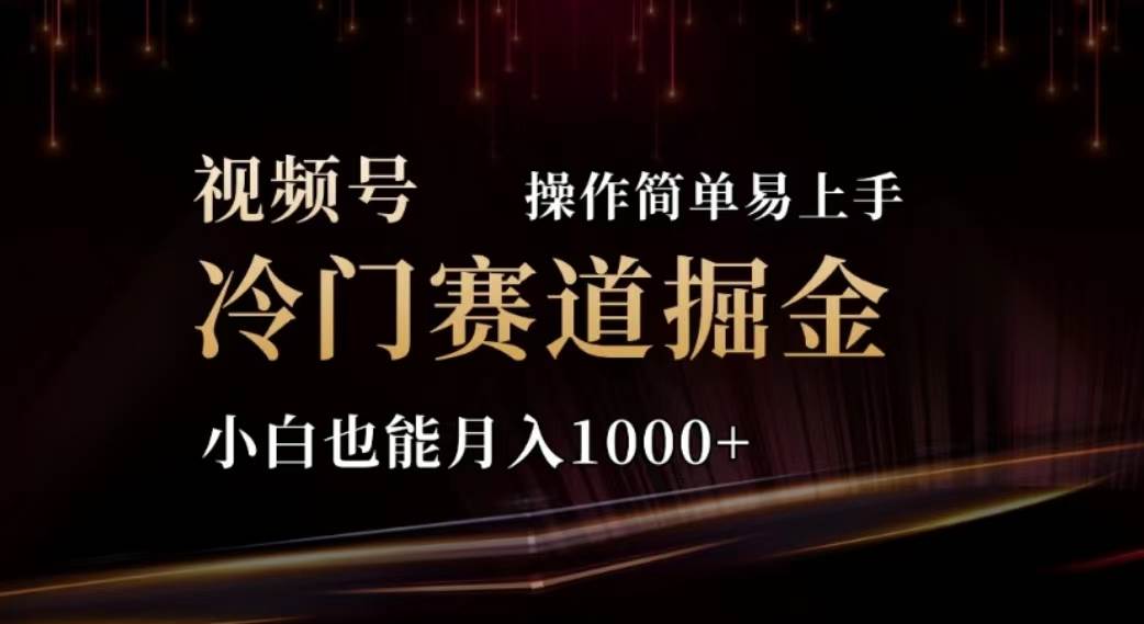 2024视频号冷门赛道掘金，操作简单轻松上手，小白也能月入1000+-天天资源网