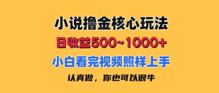 小说撸金核心玩法，日收益500-1000+，小白看完照样上手，0成本有手就行-天天资源网