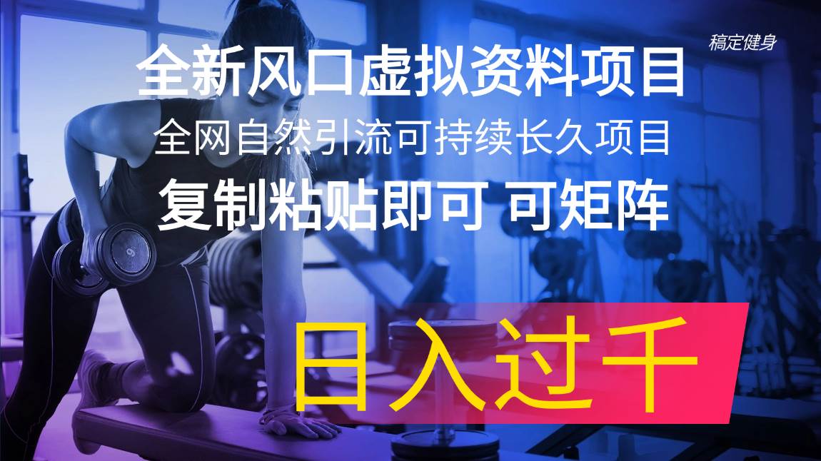 全新风口虚拟资料项目 全网自然引流可持续长久项目 复制粘贴即可可矩阵…-天天资源网