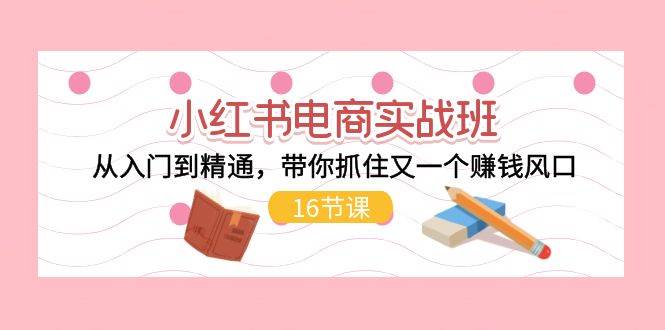 小红书电商实战班，从入门到精通，带你抓住又一个赚钱风口（16节）-天天资源网