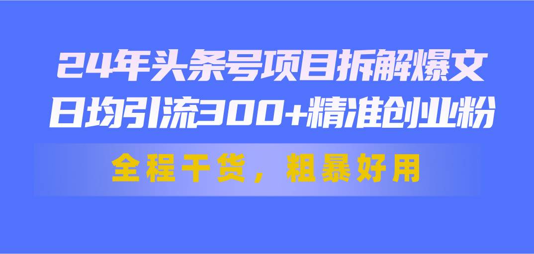 24年头条号项目拆解爆文，日均引流300+精准创业粉，全程干货，粗暴好用-天天资源网