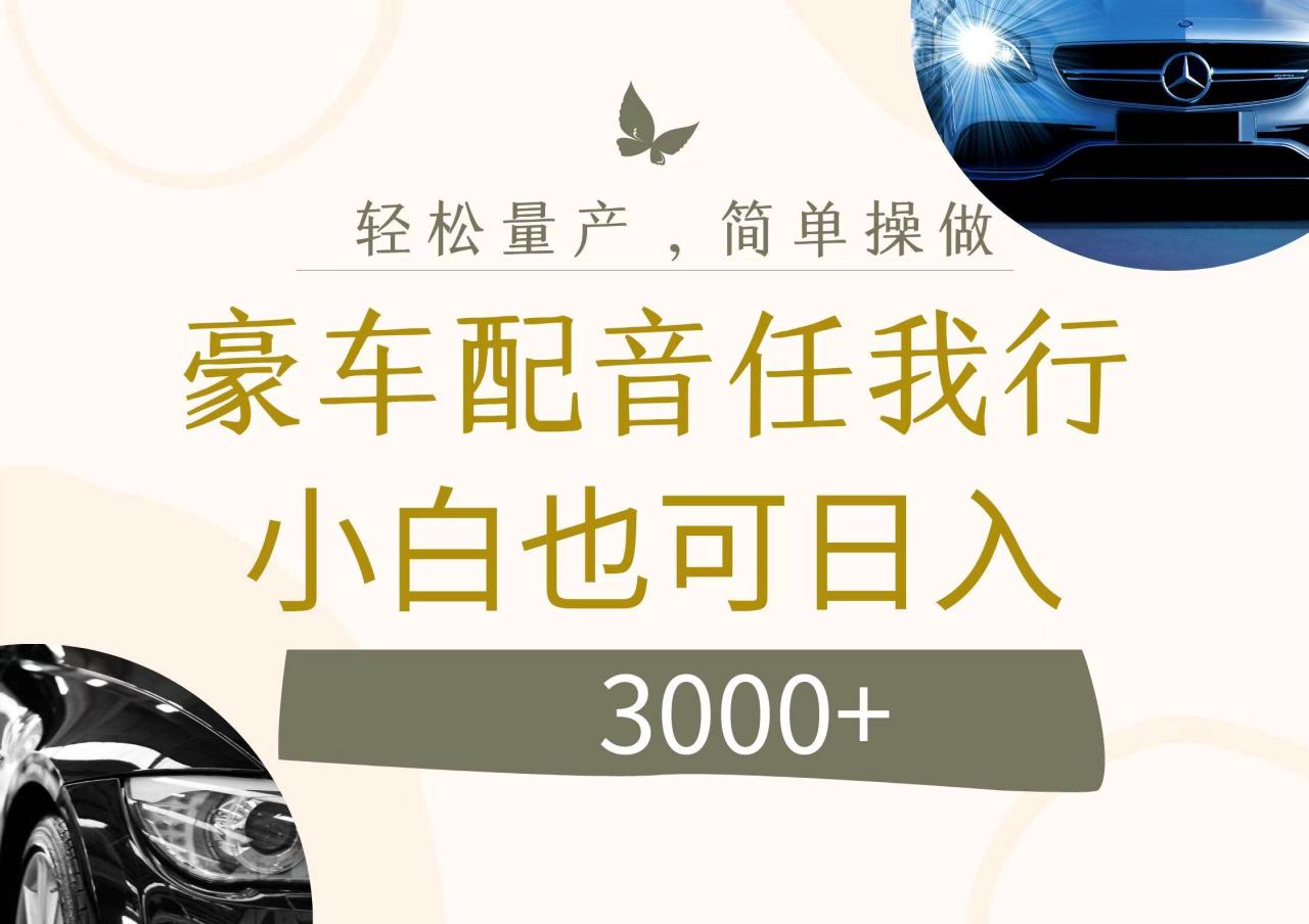 不为人知的暴力小项目，豪车配音，日入3000+-天天资源网