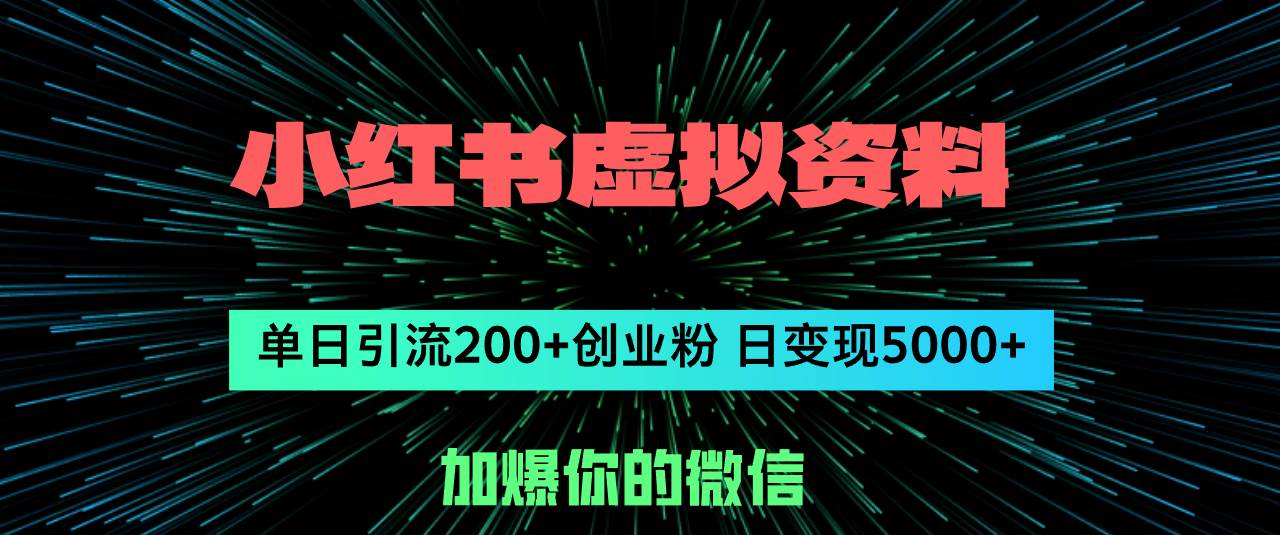 小红书虚拟资料日引流200+创业粉，单日变现5000+-天天资源网