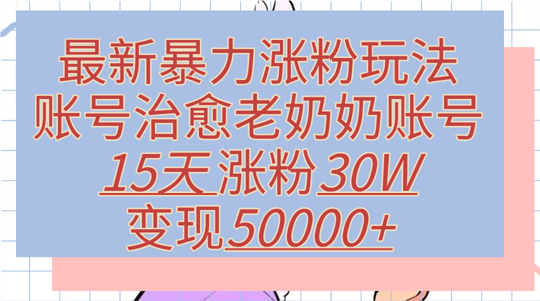 最新暴力涨粉玩法，治愈老奶奶账号，15天涨粉30W，变现50000+【揭秘】-天天资源网