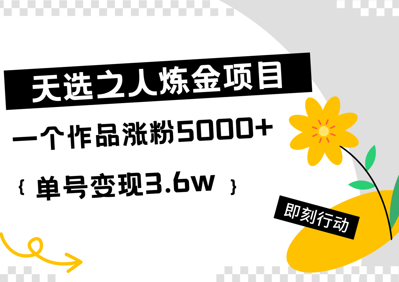 天选之人炼金热门项目，一个作品涨粉5000+，单号变现3.6w-天天资源网