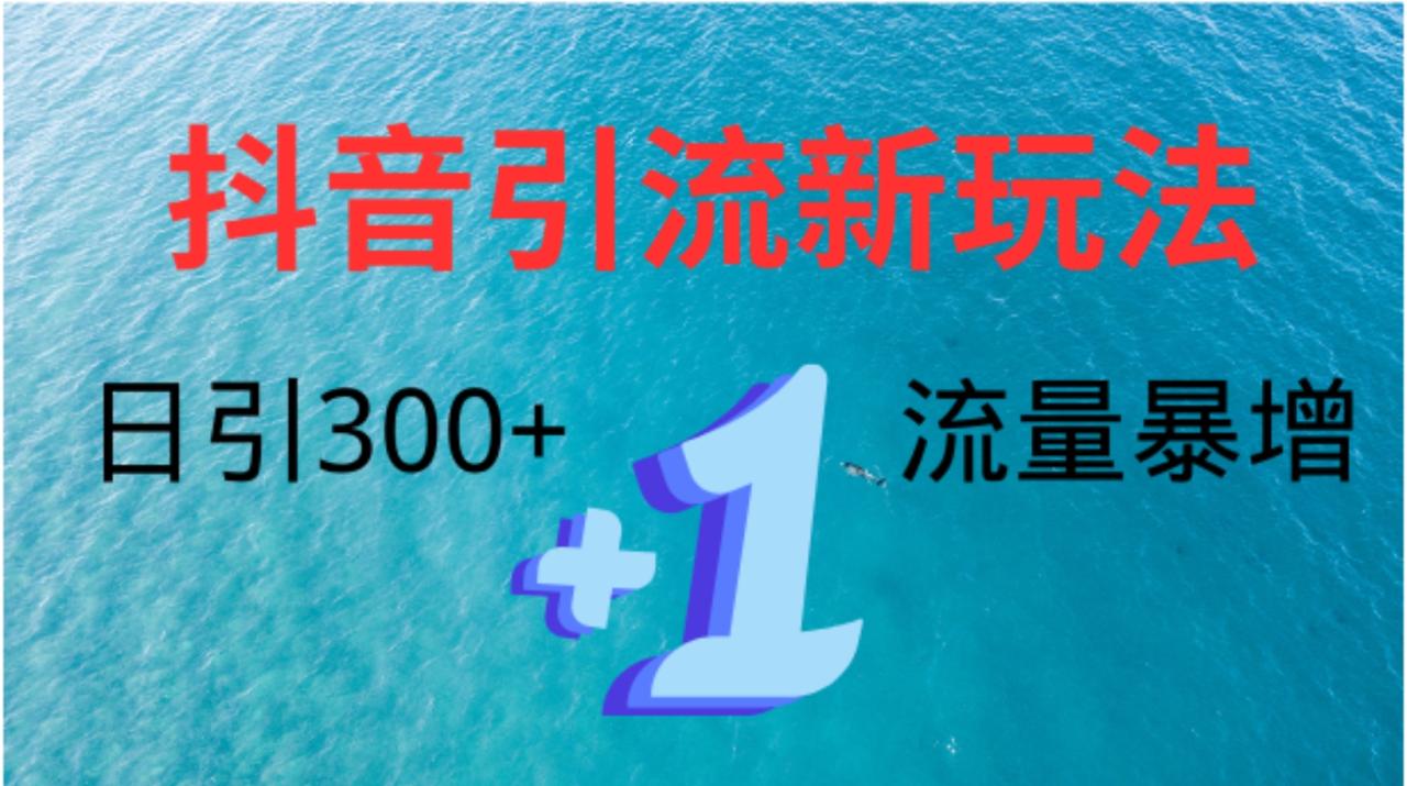 创业粉高效引流，抖音工具号玩法4.0，日引300+-天天资源网