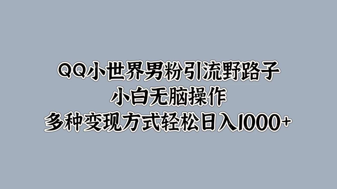 QQ小世界男粉引流野路子，小白无脑操作，多种变现方式轻松日入1000+-天天资源网