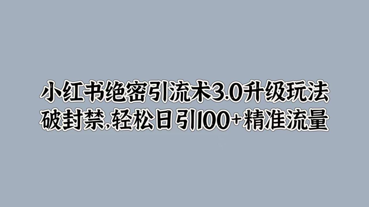 小红书绝密引流术3.0升级玩法，破封禁，轻松日引100+精准流量-天天资源网